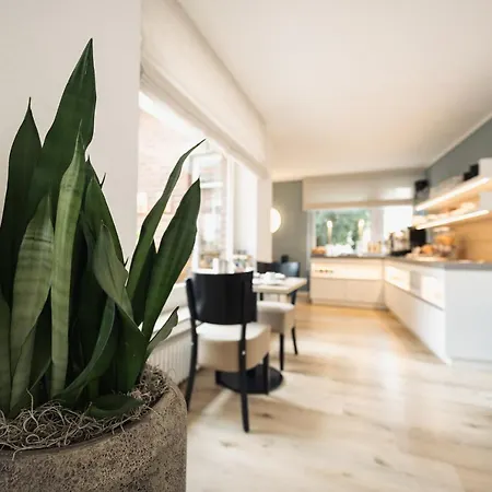 Busche Am Dom Hotel 3*