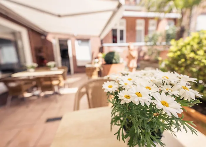 Busche Am Dom Otel 3*